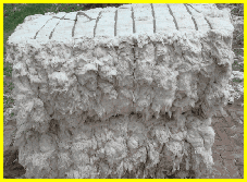 wp051d315a.gif